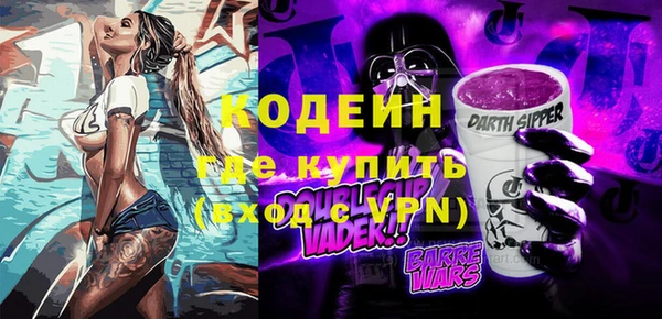 МДПВ Пересвет
