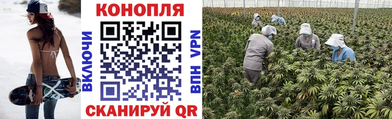Бошки Шишки THC 21%  где купить наркоту  Власиха 